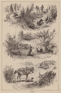 Jänis (kaiverrus) tekijältä English School