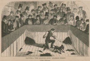 Ratting at the Graham Arms (kaiverrus) (kaiverrus) tekijältä English School