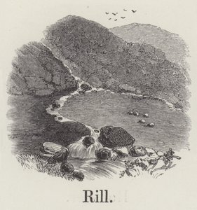 Rill (kaiverrus) tekijältä English School