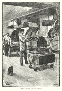 Kaakaonippujen paahtaminen (kaiverrus) tekijältä English School