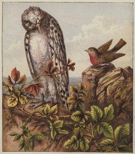Robinin joululaulu (värilitografia) tekijältä English School