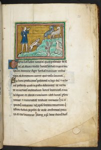 Royal 12 F.XIII, f. 20 Metsästäjä tai maanviljelijä koirien kanssa jahtaamassa vuohia.  Bestiary (ff. 3-141), Lapidary (ff. 141v-149)  1200-luvun toinen neljännes tekijältä English School