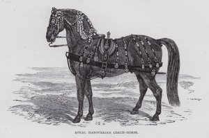 Royal Hanoverian Coach-Horse (kaiverrus) tekijältä English School