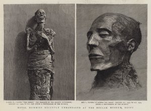 Kuninkaalliset muumiot äskettäin purettuina Boulak-museossa Egyptissä (kaiverrus) tekijältä English School