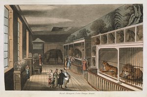 Kuninkaallinen eläintarha, Exeter (Change Exchange), Strand.Valitse Lontoon näkymät: historiallisia ja kuvailevia luonnoksia joistakin kiinnostavimmista julkisista rakennuksista / J.B. Papworthin kokoama ja järjestämä. John Buonarotti PapworthLontoo tekijältä English School