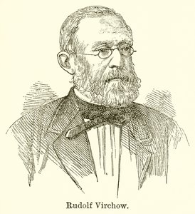 Rudolf Virchow tekijältä English School