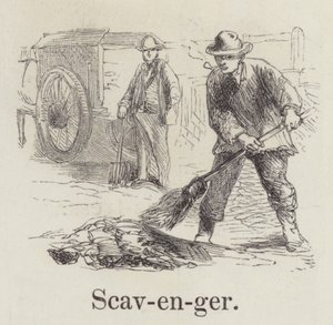Scavenger (kaiverrus) tekijältä English School