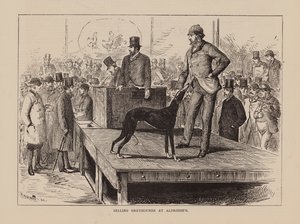 Greyhoundien myynti Aldridge