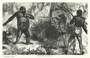 Gorillan ampuminen (kaiverrus) tekijältä English School