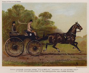 Yksivaljaat Phaeton Horse "Columbine", Charles Baynes Esq tekijältä English School