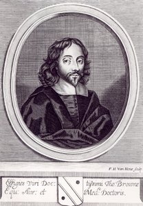 Sir Thomas Browne (1605-82), kaiverrus Frederick Hendrick van Hove (n. 1628-98) tekijältä English School