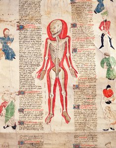 Luuranko, John Ardenen teoksesta De arte phisicali e de cirugia, 1412 tekijältä English School