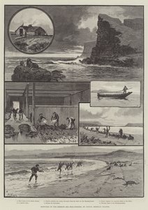 Luonnoksia Beringinmeren hylkeenkalastuslaitoksesta, St Paul