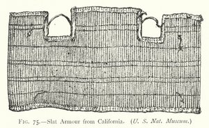 Slat Armor Kaliforniasta (litho) tekijältä English School