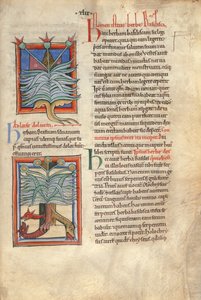 Sloane Ms 1975 fol.48 Yrttibasilika tekijältä English School