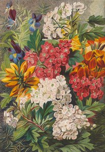 Kevätkukkia (värilitro) tekijältä English School