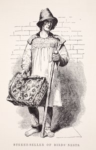 Lintujen pesien katumyyjä, kuvitus London Laborista ja London Poorista Henry Mayhew, pubi. 1862 tekijältä English School