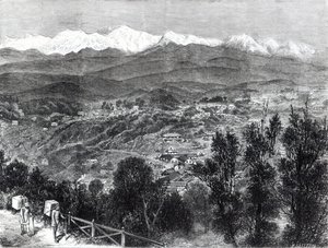 Teen viljely Britti-Intiassa - Näkymä Darjeelingiin etelästä, 1876 tekijältä English School