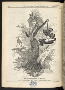 Lajien "sukpuutto"; Tai muotilevynainen ilman armoa ja jalohaikarat, "Punch, or the London Charivari", 6. syyskuuta 1899 (kaiverrus) tekijältä English School