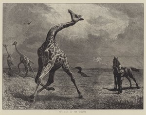 The Fall of the Giraffe (kaiverrus) tekijältä English School