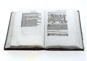 Kettu ja viinirypäleet, William Caxtonin (n. 1422-1491) kuvitetusta käännöksestä Aesops Fables -kirjasta 1434 tekijältä English School