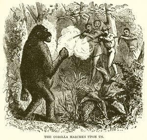 Gorilla marssii meitä vastaan tekijältä English School
