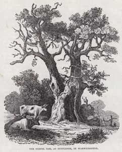 The Gospel Oak, Stonleigh, Warwickshire (kaiverrus) tekijältä English School