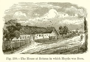 Rohraun talo, jossa Haydn syntyi