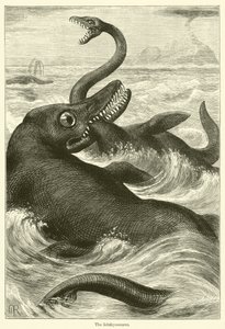 Ichthyosaurus (kaiverrus) tekijältä English School