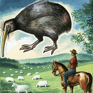 Kiwi, Uuden-Seelannin tunnus tekijältä English School