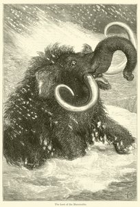 The Last of the Mammoths (kaiverrus) tekijältä English School