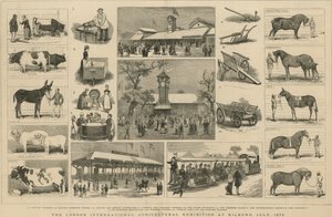 Lontoon kansainvälinen maatalousnäyttely Kilburnissa heinäkuussa 1879