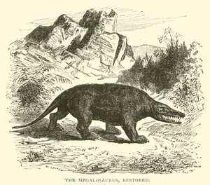 Megalosaurus, kunnostettu (kaiverrus) tekijältä English School
