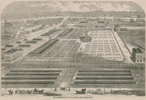 Metropolitan Cattle Market, Copenhagen Fields, Lontoo