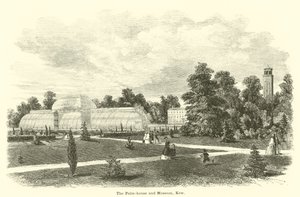 Palmutalo ja museo, Kew tekijältä English School