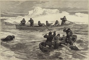 Pandoran arktinen retkikunta