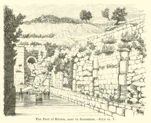 Siloamin lammikko, lähellä Jerusalemia, Johannes, ix, 7 tekijältä English School