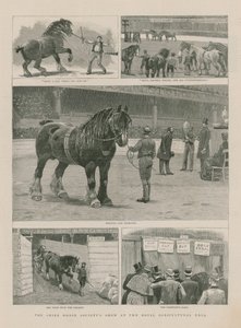 Shire Horse Society -esitys Royal Agricultural Hallissa tekijältä English School