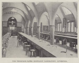 Thompson-Yates Histology Laboratory, Liverpool (kaiverrus) tekijältä English School