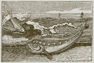 Pupu ja delfiini (kaiverrus) tekijältä English School