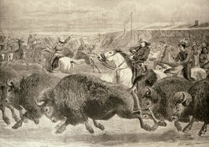 "Villi länsi" suuressa amerikkalaisessa näyttelyssä: Hunting Bison and Wapiti Deer, "The Illustrated London News", 18. kesäkuuta 1887 tekijältä English School