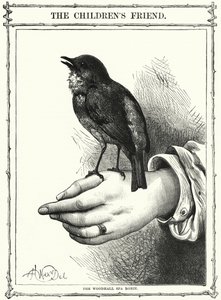 Woodhall Spa Robin (kaiverrus) tekijältä English School