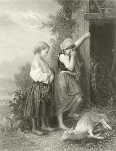 Kuollut lammas