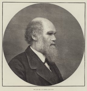 Edesmennyt C. R. Darwin, FRS, LLD. tekijältä English School