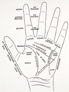 Käden kiinnitysaras tekijältä English School