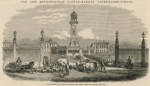 Uusi Metropolitan Cattle Market, Copenhagen Fields