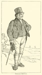 Thomas Bewick (kaiverrus) tekijältä English School