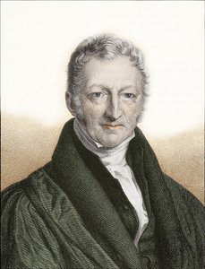 Thomas Robert Malthus (värikaiverrus) tekijältä English School