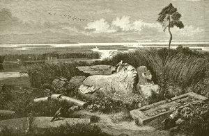 Torcello, Venetsia tekijältä English School