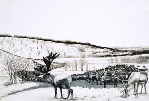 Tunnistamaton porolauma tekijältä English School